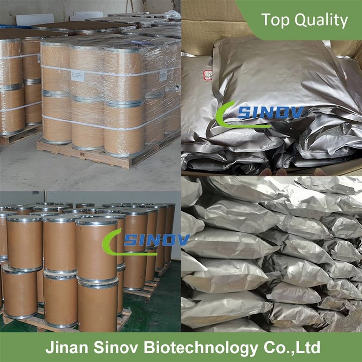 Astragalus Extract Calycosin high quality