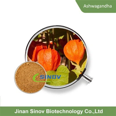 Ashwagandha šaknies ekstrakto milteliai